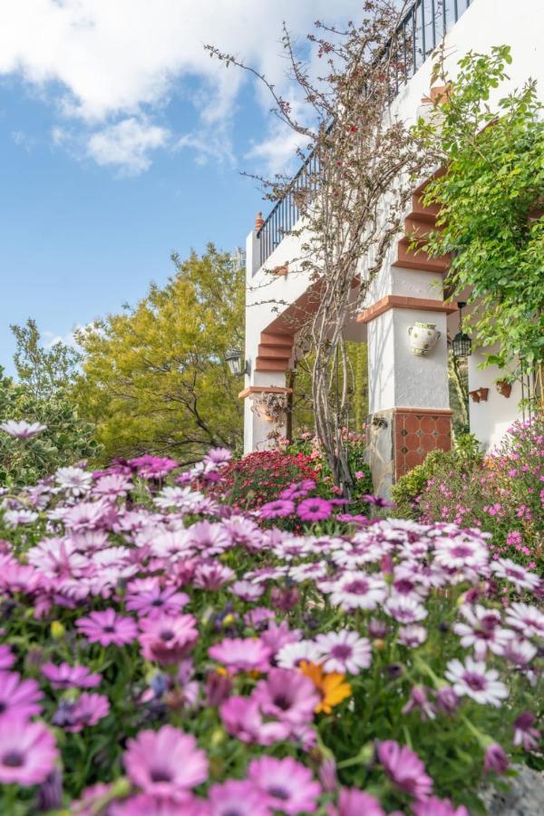 Los Cactus Ель-Ґастор Екстер'єр фото