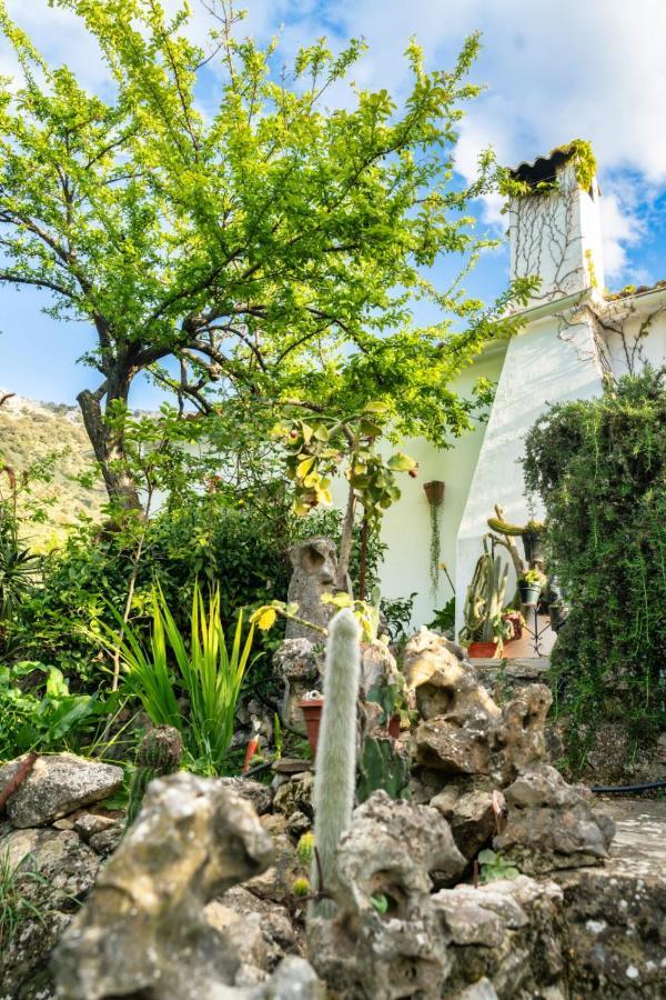 Los Cactus Ель-Ґастор Екстер'єр фото